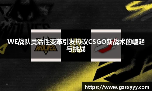 WE战队灵活性变革引发热议CSGO新战术的崛起与挑战